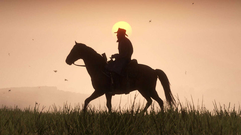 Red Dead Redemption 2 - Ultimate Edition ARG
