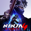 Ninja Gaiden 4 | Steam Offline